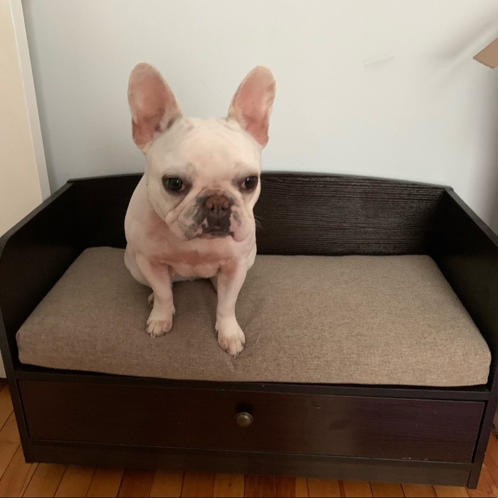 Pet bench with storage